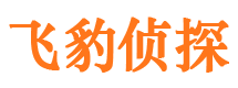 洛宁市侦探公司